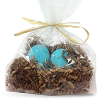 Robin Egg in Nest Bath Fizzie Kit
