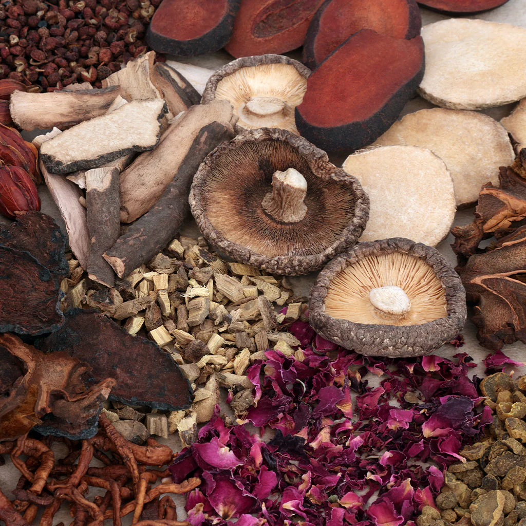 Rose Hips & Reishi Fragrance Oil (Special Order)