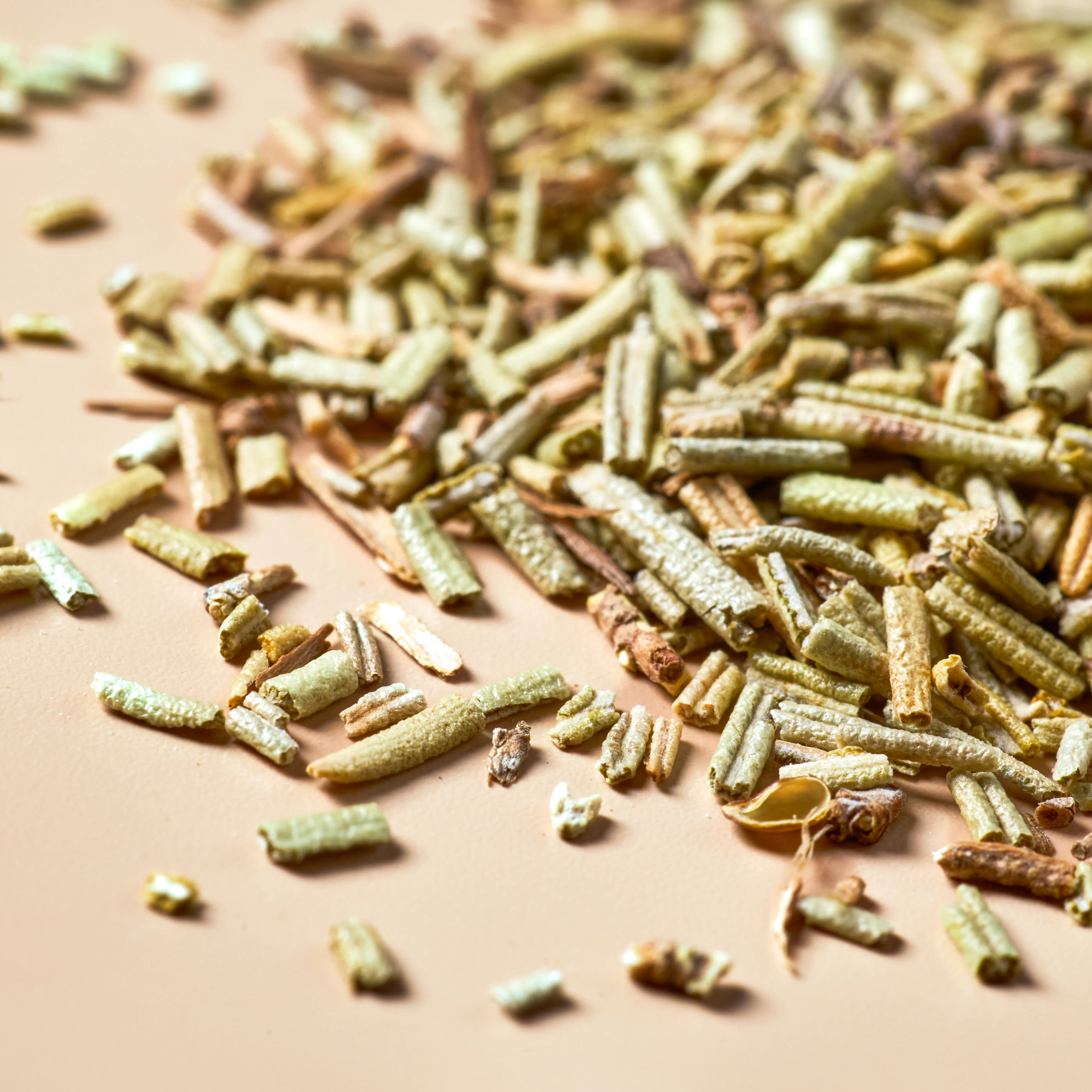 Rosemary - Botanical - Image 3