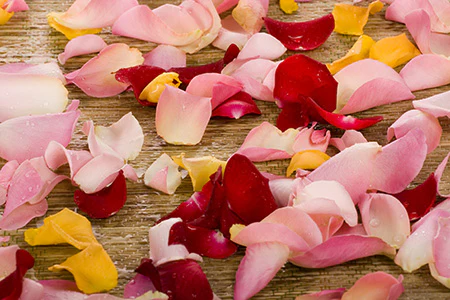 Rustic Rose Fragrance Oil 16069