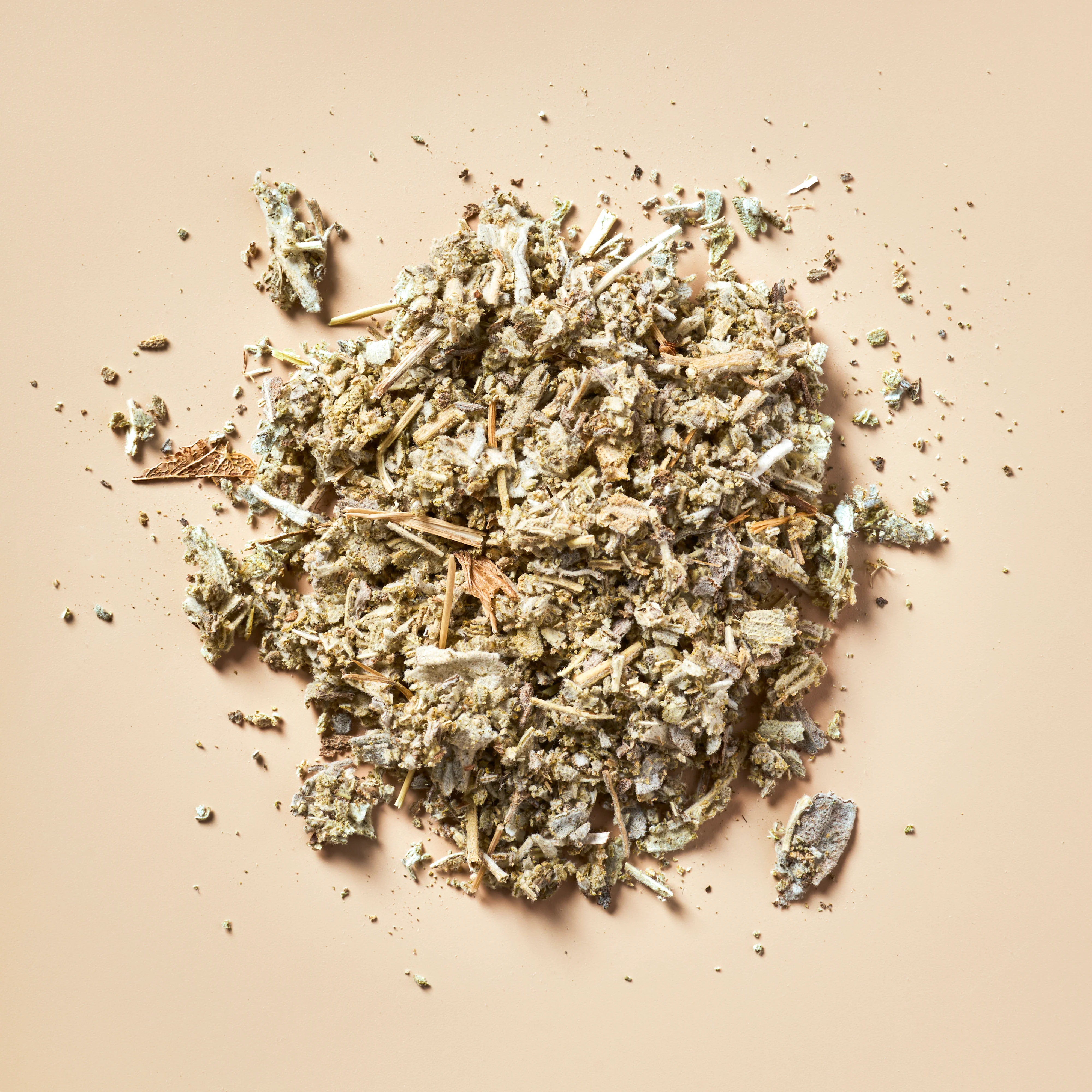Sage - Botanical