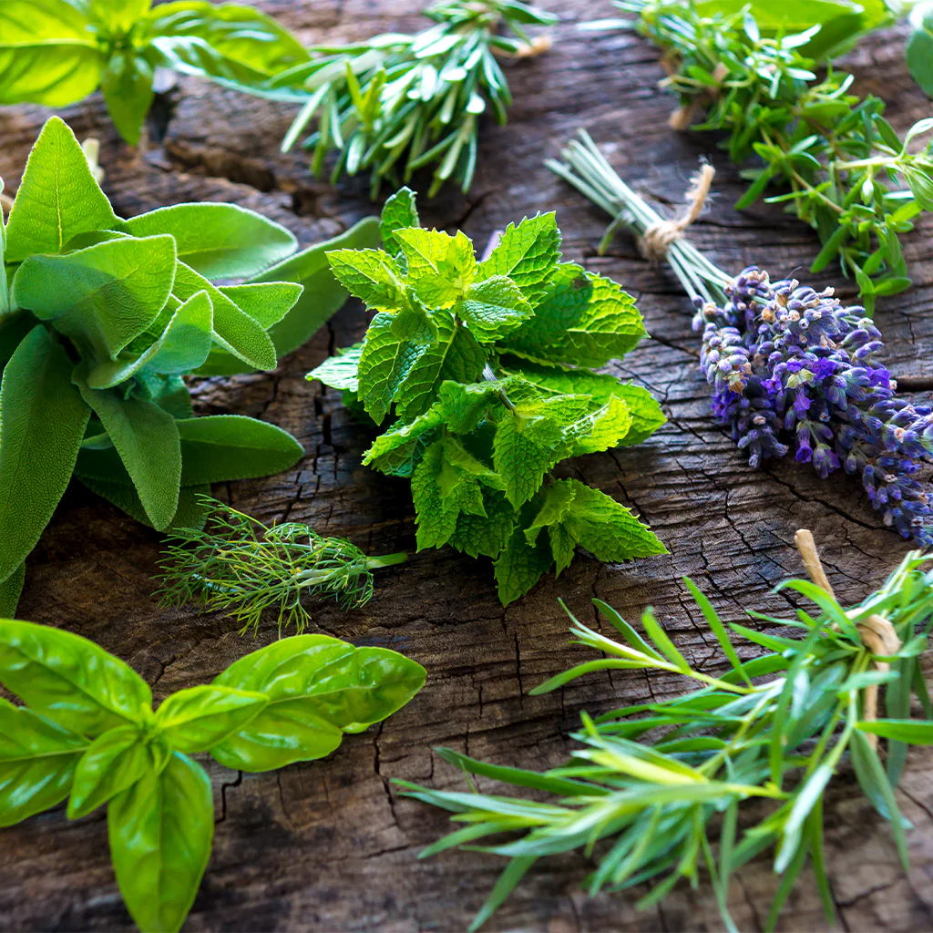 Sage & Vetiver* Fragrance Oil (Special Order)