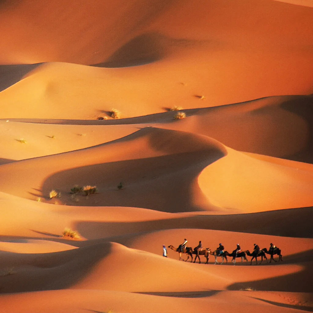 Sahara Spice* Fragrance Oil (Special Order)