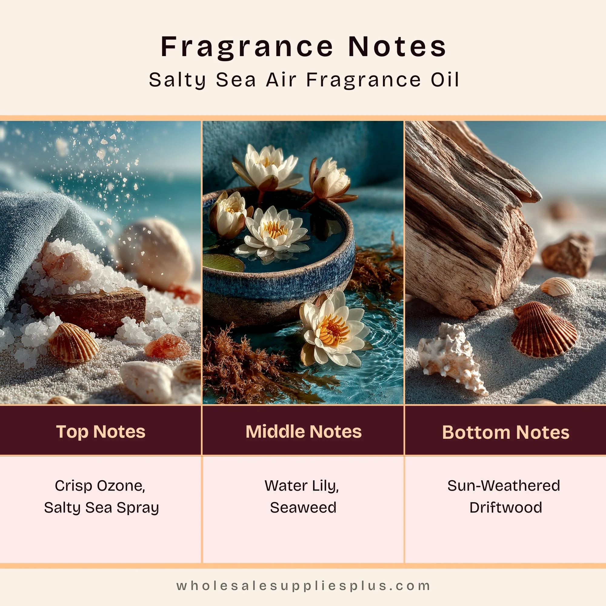 Salty Sea Air Fragrance Oil 16080 - Image 2
