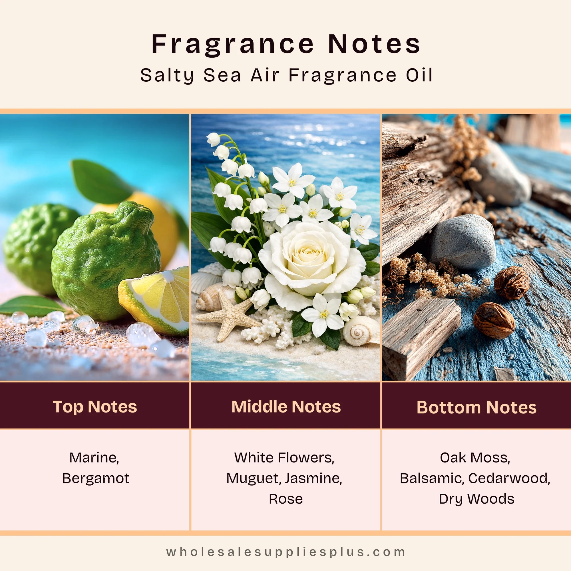 Salty Sea Air Fragrance Oil 20279 - Image 2