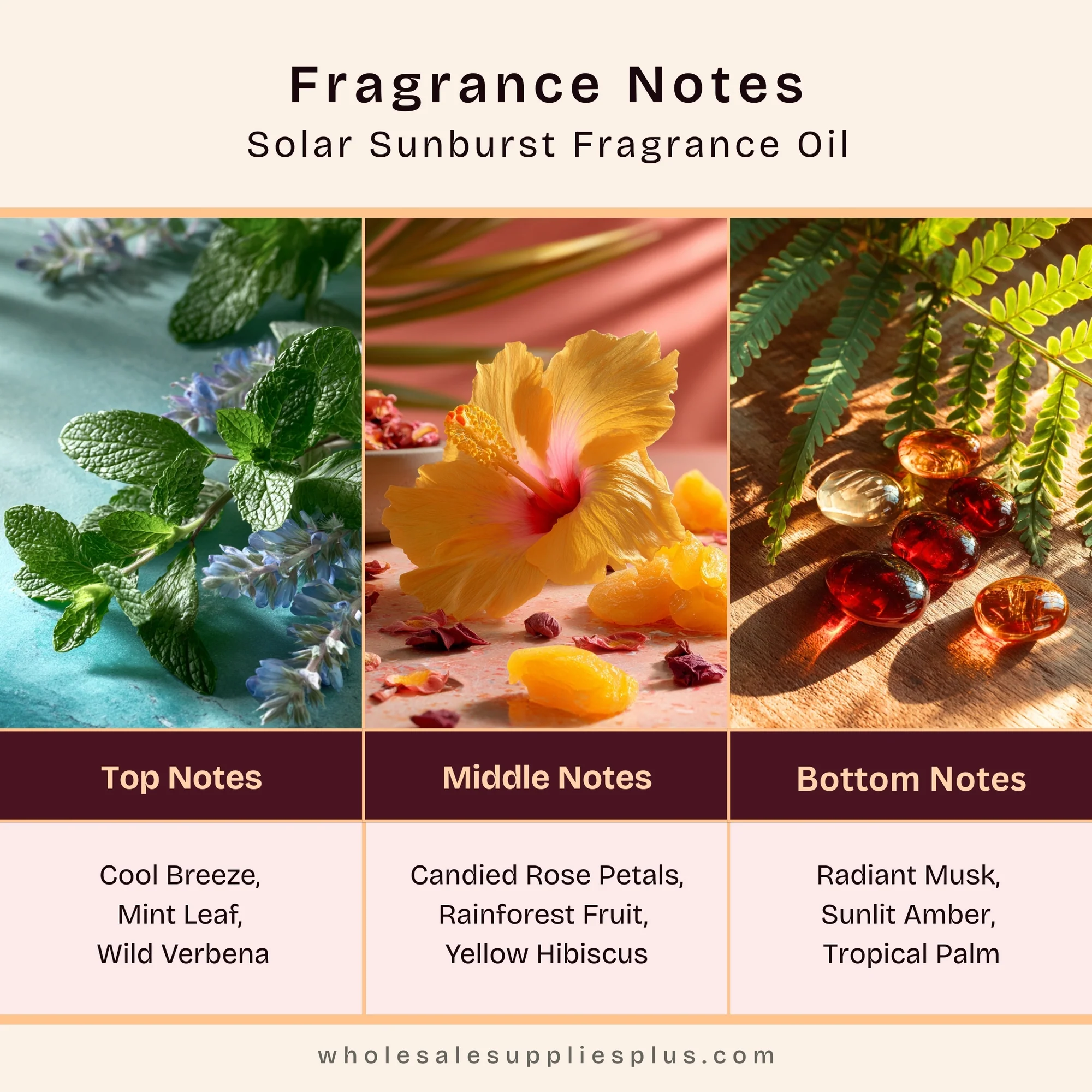 Solar Sunburst Fragrance Oil 602 - Image 2