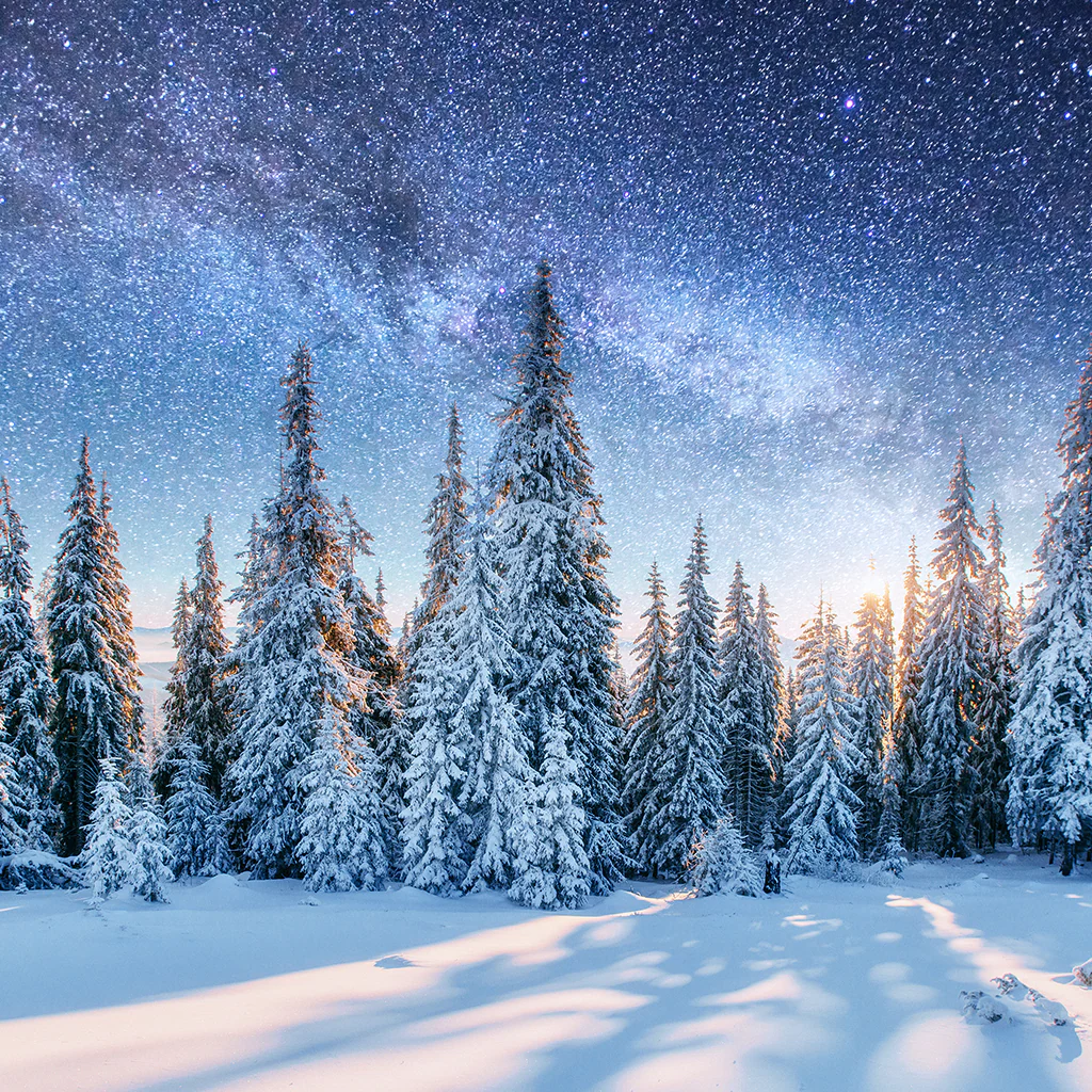 Sparkling Winter Solstice Fragrance Oil 1030