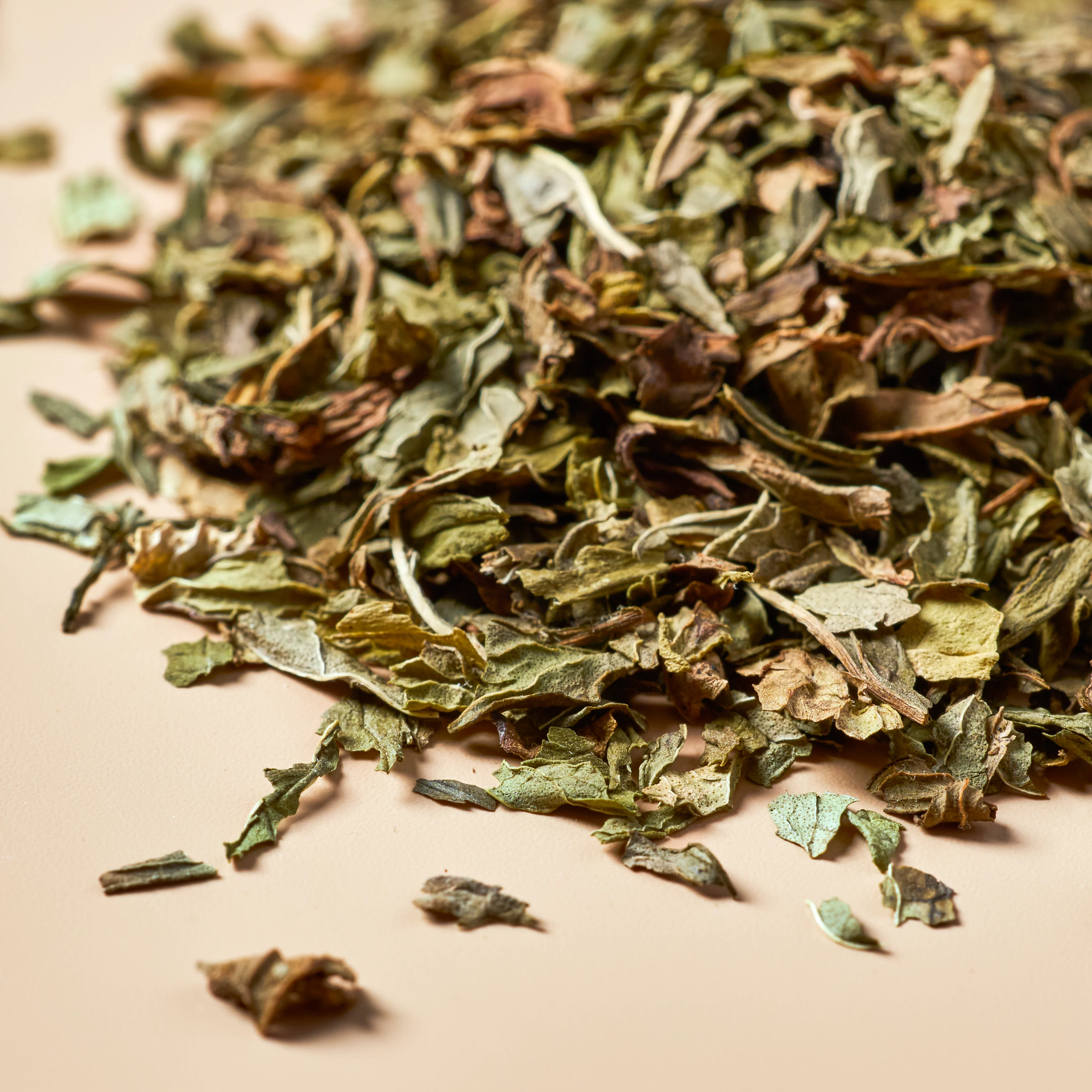 Spearmint Leaf - Botanical - Image 3