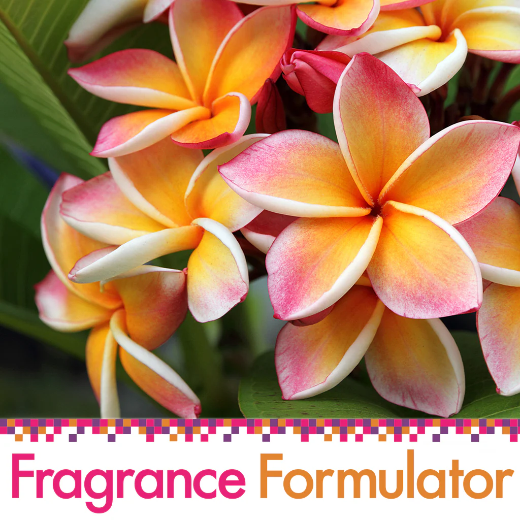 Spiced Floral Fragrance Oil - FF# 18 (Special Order)