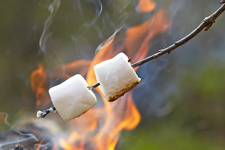 Toasted Marshmallow (KY) Fragrance Oil 16987