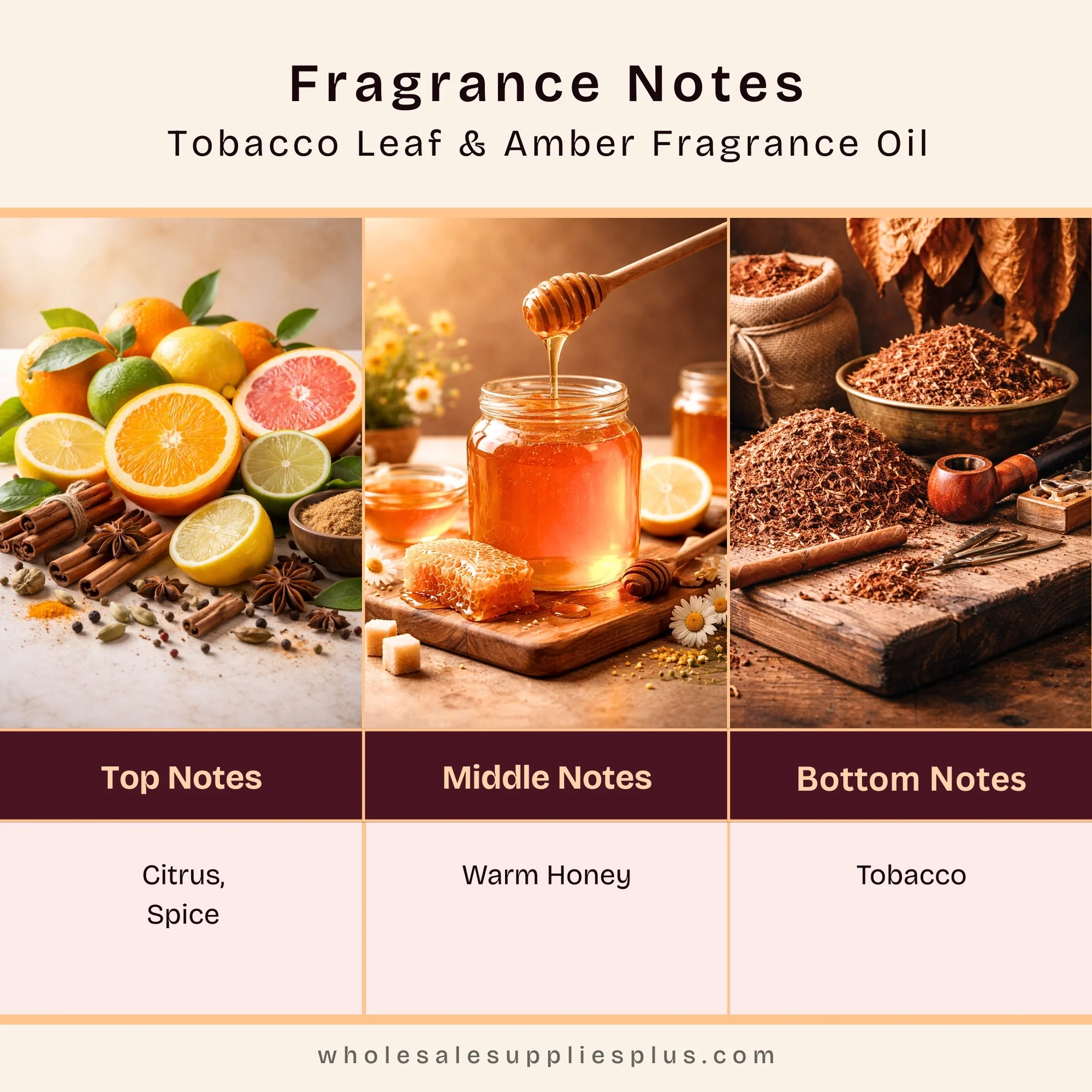 Tobacco Leaf & Amber Fragrance Oil 728 - Image 2