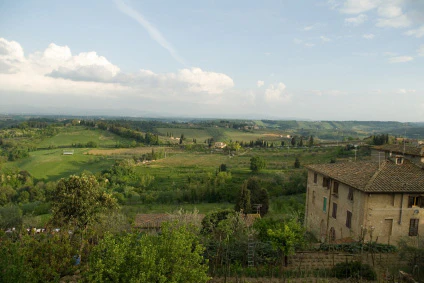 Tuscan Fields Fragrance Oil 17001