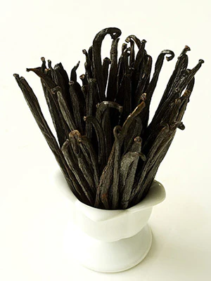 Vanilla Bean Fragrance Oil 17006