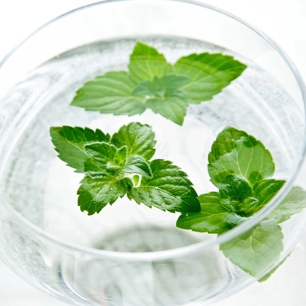 Water Soluble - Mint Fragrance Oil (Special Order)